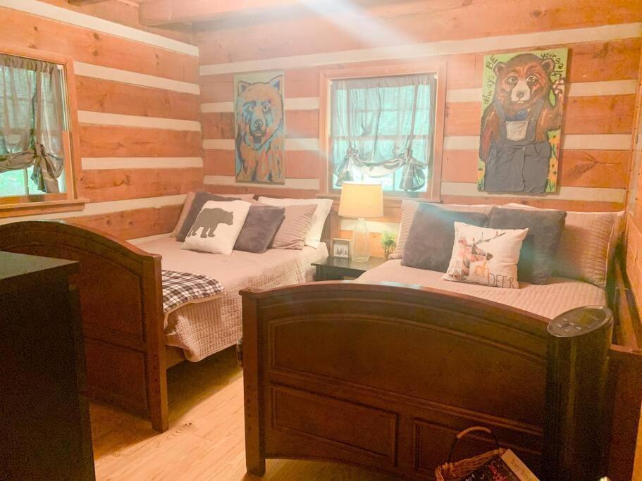 블루리지 Hot Tub, Porch Swing Bed, Fire Pit, Aska Adventure 빌라 외부 사진